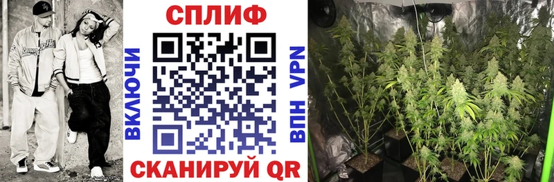 Марихуана тримм купить наркоту Лодейное Поле
